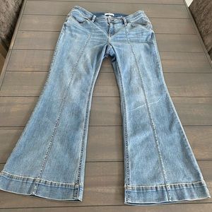 Lane Bryant Flare Jeans